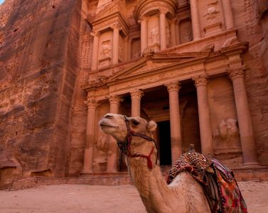 brown camel in front of brown rock formation during daytime