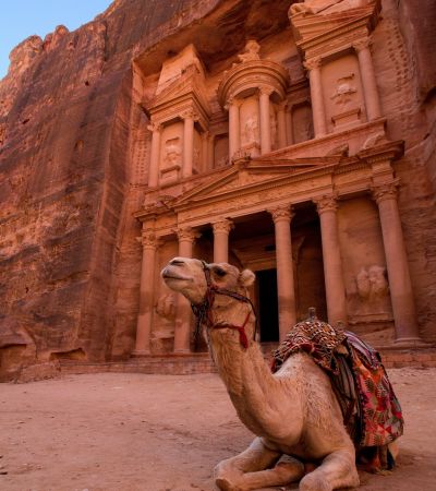 brown camel in front of brown rock formation during daytime